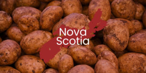 United Potato Growers of Canada