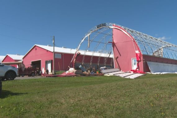 Alex Docherty of Sky View Farms in Elmwood, P.E.I., says a tarp barn at his farm was completely destroyed and another was severely damaged. (Laura Meader/CBC)