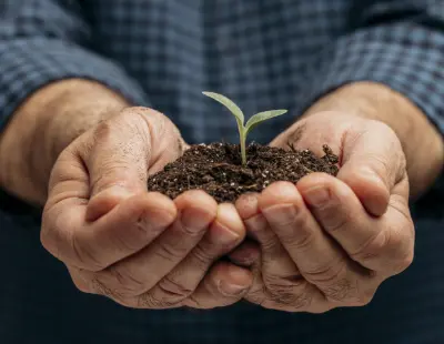 front-view-male-hands-holding-soil-little-plant